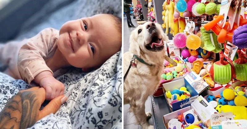 10+ presimpatičnih fotografija ljudi i životinja koje će vam izmamiti osmijeh na lice