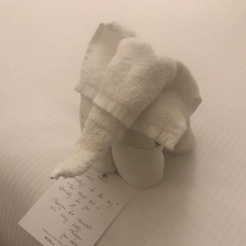 "Ostavili smo čokoladu u sobu i u poruci napisali spremačici da slobodno uzme. Onda nas je dočekao ovaj presladak slonić i poruka zahvale."