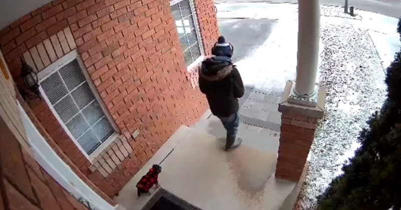 Snimka pokušaja šetnje psa po hladnom vremenu kruži društvenim mrežama, ljude nasmijao kraj videa