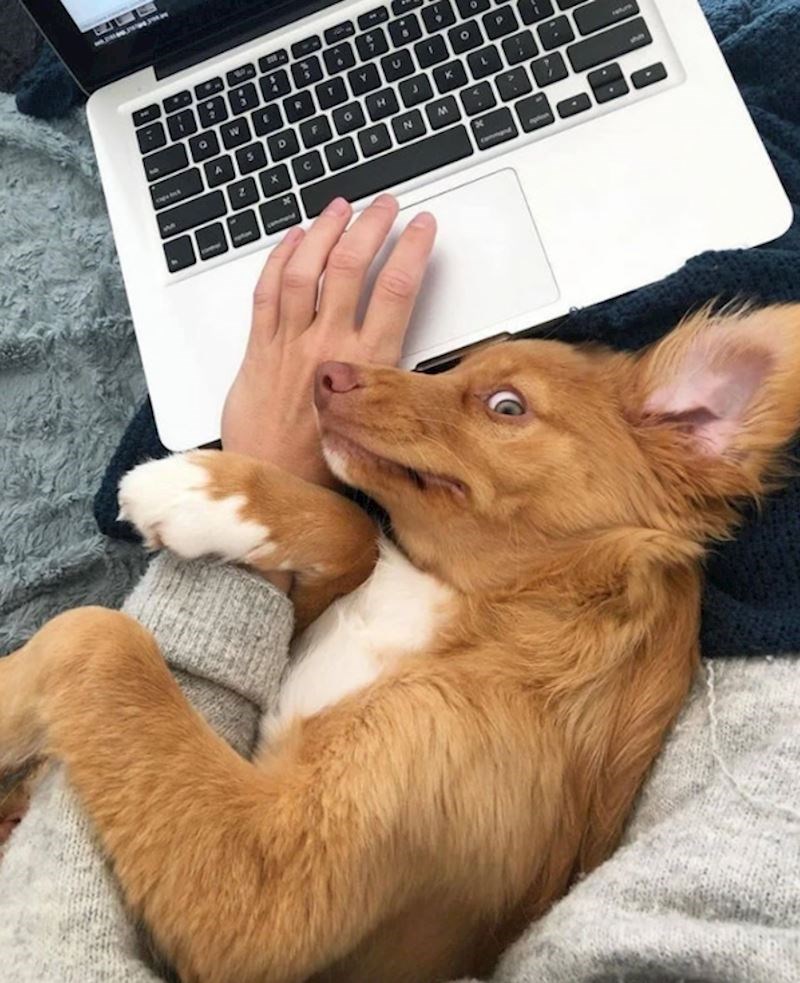 "Kao da hoće pitati: 'E, a kad završavaš s poslom?"