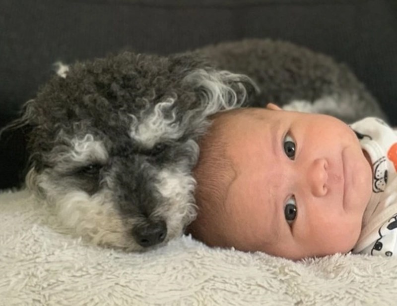 "Početak jednog predivnog prijateljstva."