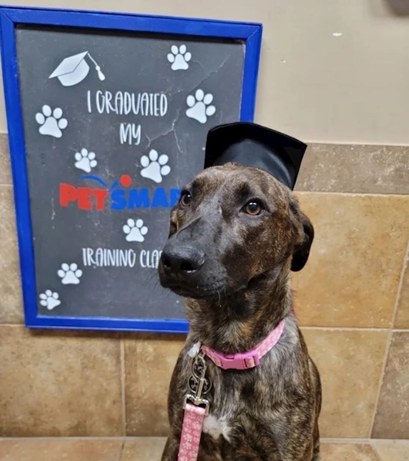 "Diplomirala je u školi za dresuru. Najviše se, naravno, veselila poslasticama"