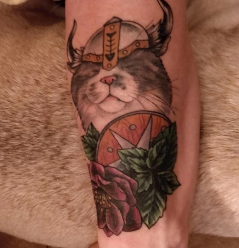 "Moj mačak kao viking"