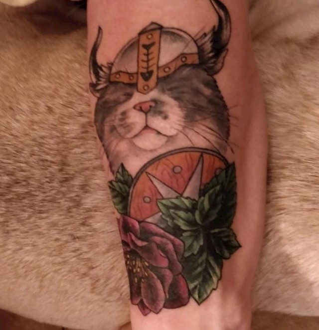 "Moj mačak kao viking"