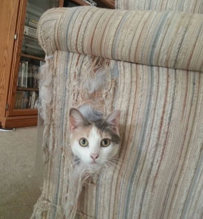 "Ona je razlog zbog kojeg ne mogu imati lijepe stvari"