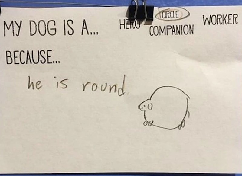"Umjesto da odgovori je li naš pas heroj, šampion ili čuvar, naša kćer je odgovorila da je krug zato što je okrugao..."