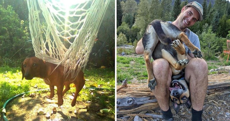 20+ simpatičnih fotografija životinja čije će vam blesavo ponašanje izmamiti osmijeh na lice