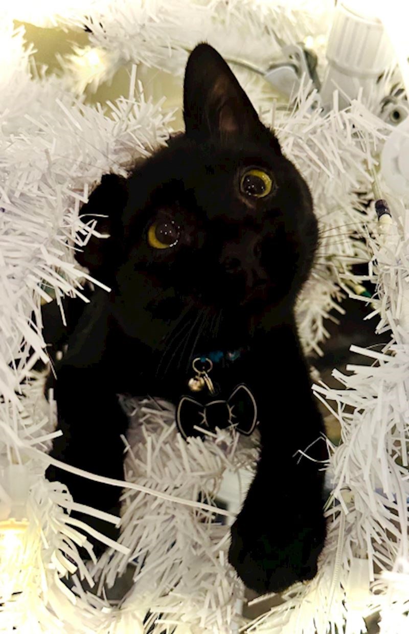 "Jedna starija slika, ali ništa manje draga"