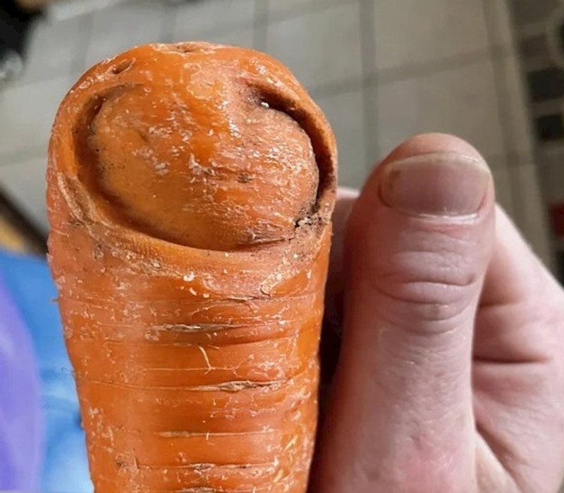 11. "Mrkva koja izgleda kao moj palac"