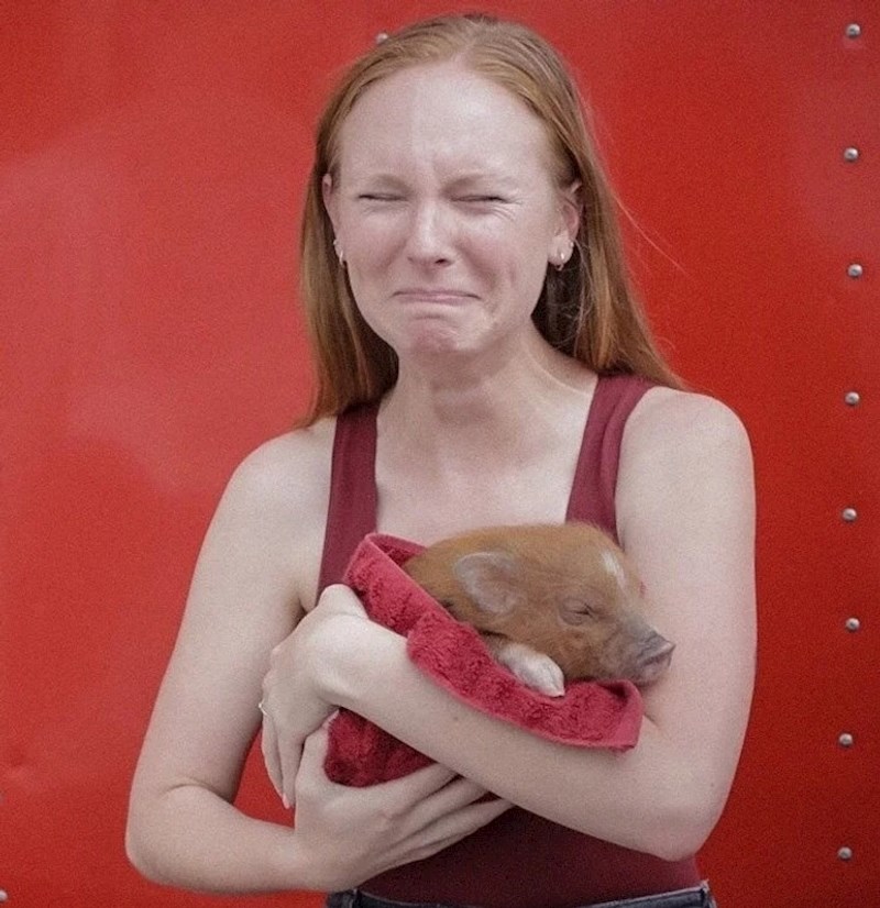 7. "Moja cura jako voli minijaturne praščiće. Dogovorio sam da ih može vidjeti i ovo je bila njezina reakcija kad je držala jednog u rukama"