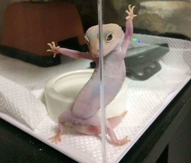 1.