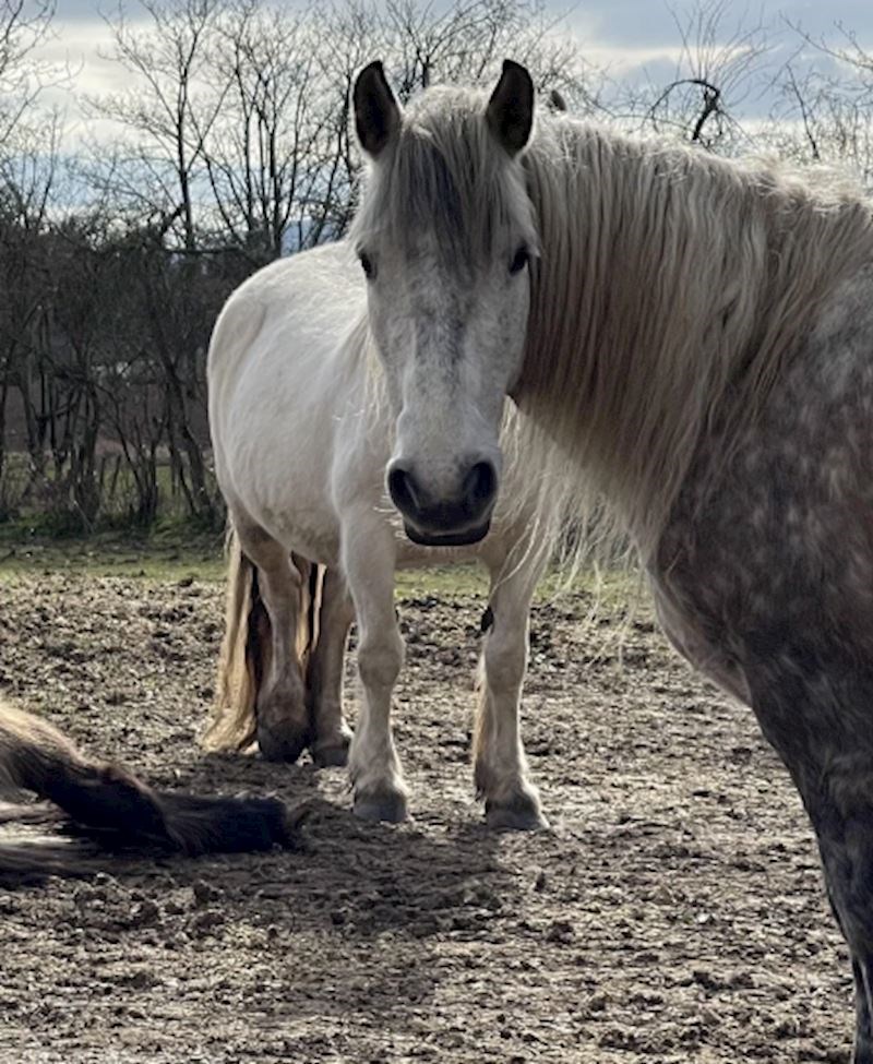 9. "Poslala sam prijateljima ovu sliku i moram priznati da je neke zbunila"