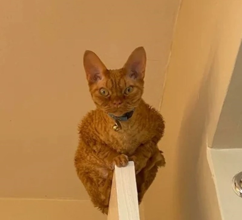 "Baš izgleda malo agresivno dok me ovako promatra."