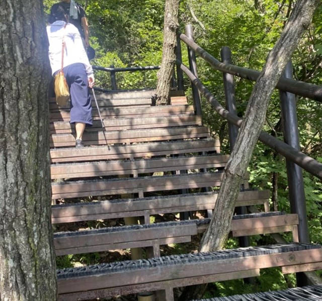 11. U Južnoj Koreji grade stepenice oko drveća jer ih ne žele rezati.