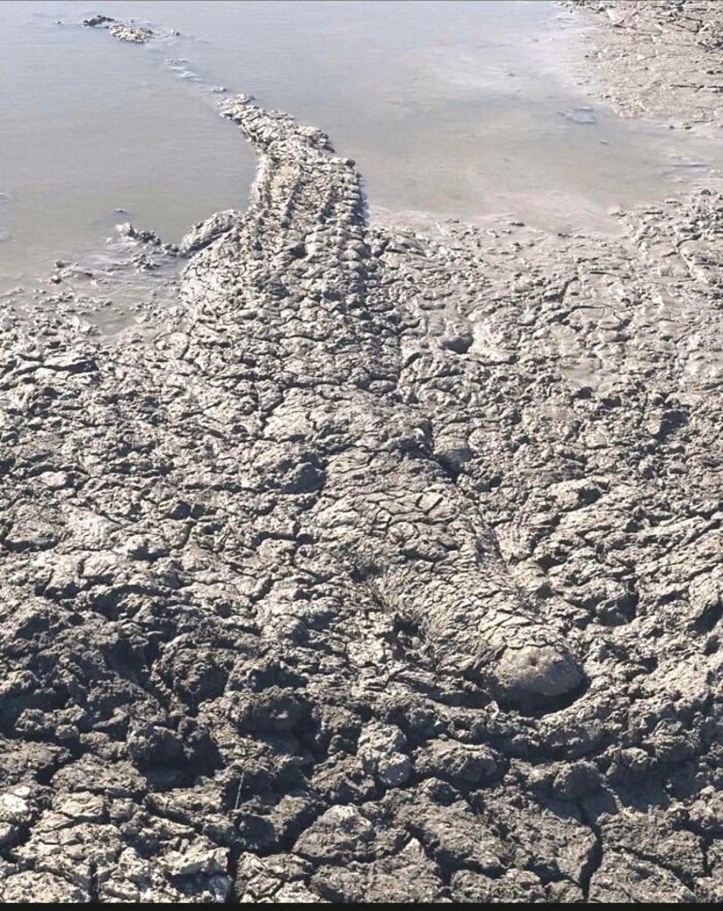 Da ne vidimo kraj repa ne bismo uopće shvatili o čemu je riječ. 😳