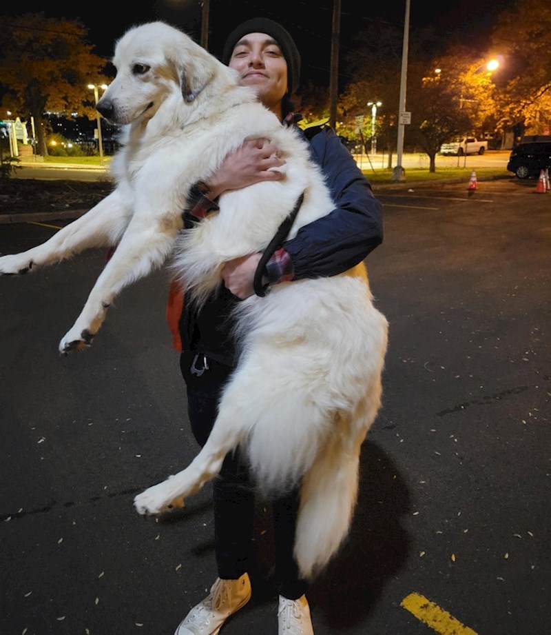 12. "Molly se umorila u šetnji, sad ju moram nositi"