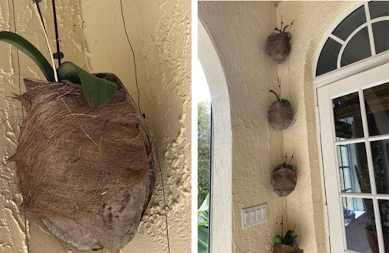 "Počela sam koristiti kokosovu ljusku umjesto tegli, moram priznati da izgleda super!"