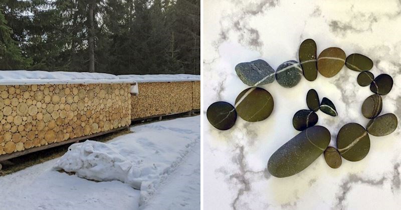 15+ fotki na kojima je sve savršeno usklađeno, ovi prizori prava su poslastica za perfekcioniste