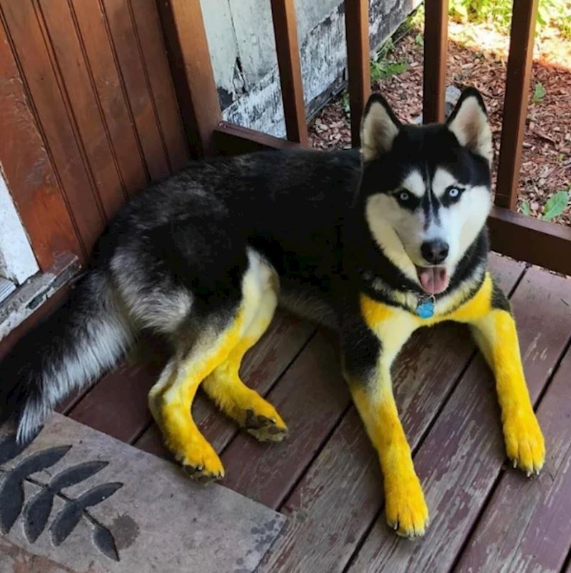 "Uopće me strah otkriti zašto je ovakav."