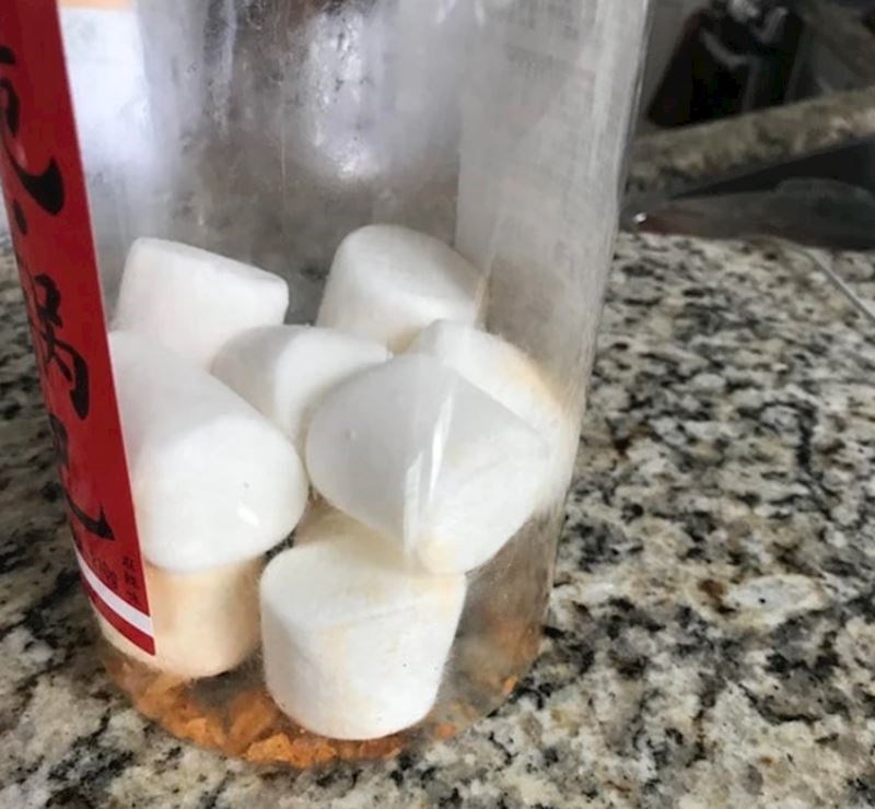 "Moja mama voli koristiti stare posude, ali ih nikad ne opere. Tu su sad sljezovi kolačići u pakiranju od čipsa, još uvijek ima mrvica unutra..."