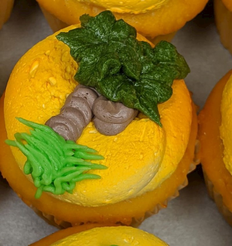 "Znam kako izgleda, ali ovo je zapravo palmino stablo"