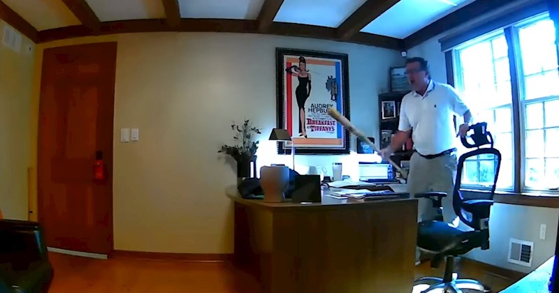 Čovjeku tijekom video sastanka u ured ušla vjeverica, njegova reakcija nasmijat će vas do suza