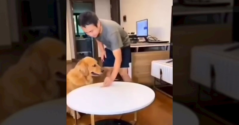 Tip htio testirati ponašanje psa i ostavio ga samog s poslasticom, nasmijat ćete se kad vidite kraj