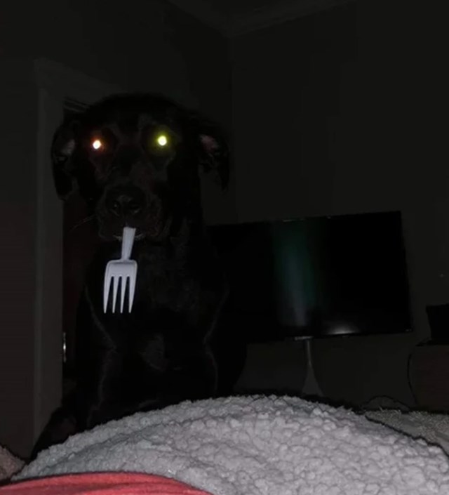 10.