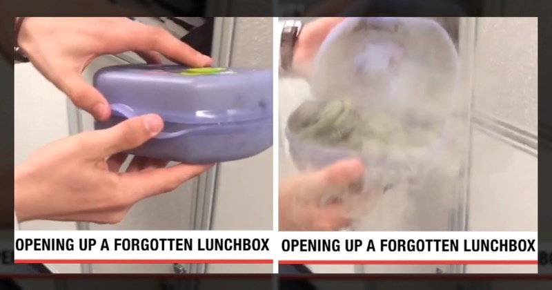 10 mil. pregleda: Pronašli su staru kutiju za užinu i odlučili je otvoriti, prizor je stravičan