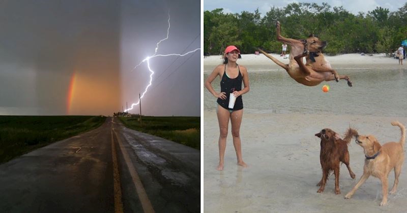 10 puta kada su ljudi fotke snimili u pravom trenutku pa su nastali ovi nevjerojatni kadrovi