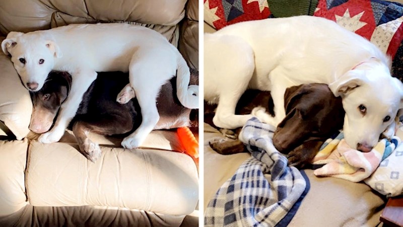 "Samo tri mjeseca razlike, ali i dalje ne prestaju ovako ležati"