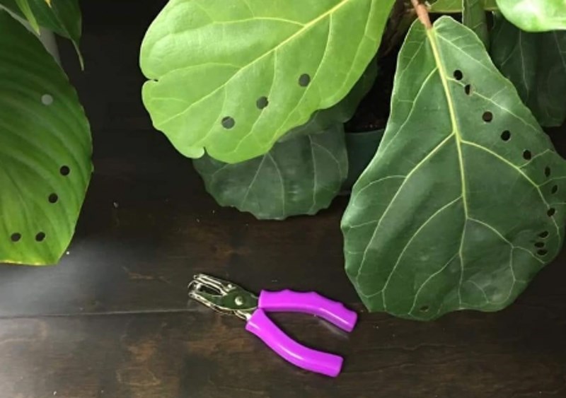 "Čuvala sam susjedinog sina i bilo mi je čudno što je naglo utihnuo. Sad znam zašto..."