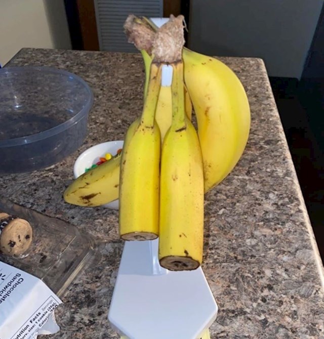 2. "Moj cimer ovako jede banane."