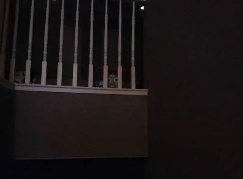 6. Zamislite da idete po noći na wc i ugledate ovo "lice" kako vas promatra...