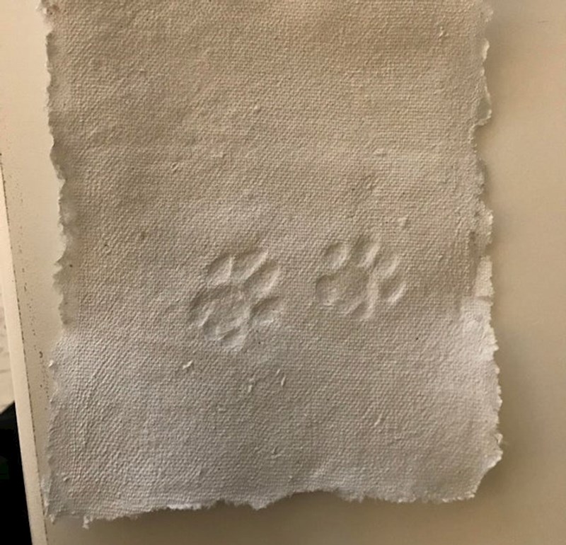 17. Odlučila je ostaviti svoj trag