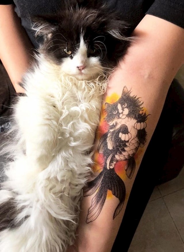 4. Mačka nije impresionirana tetovažom 😂