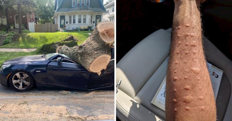 10 ljudi koji su stvarno imali loš tjedan, pogledajte kakve su im se situacije dogodile