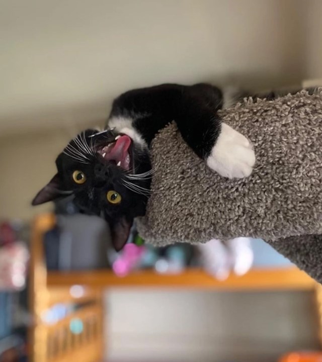 1.