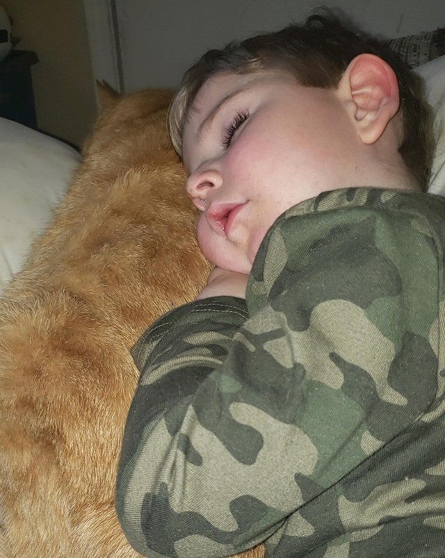 9. "Najviše voli spavati s našim narančastim mačkom"