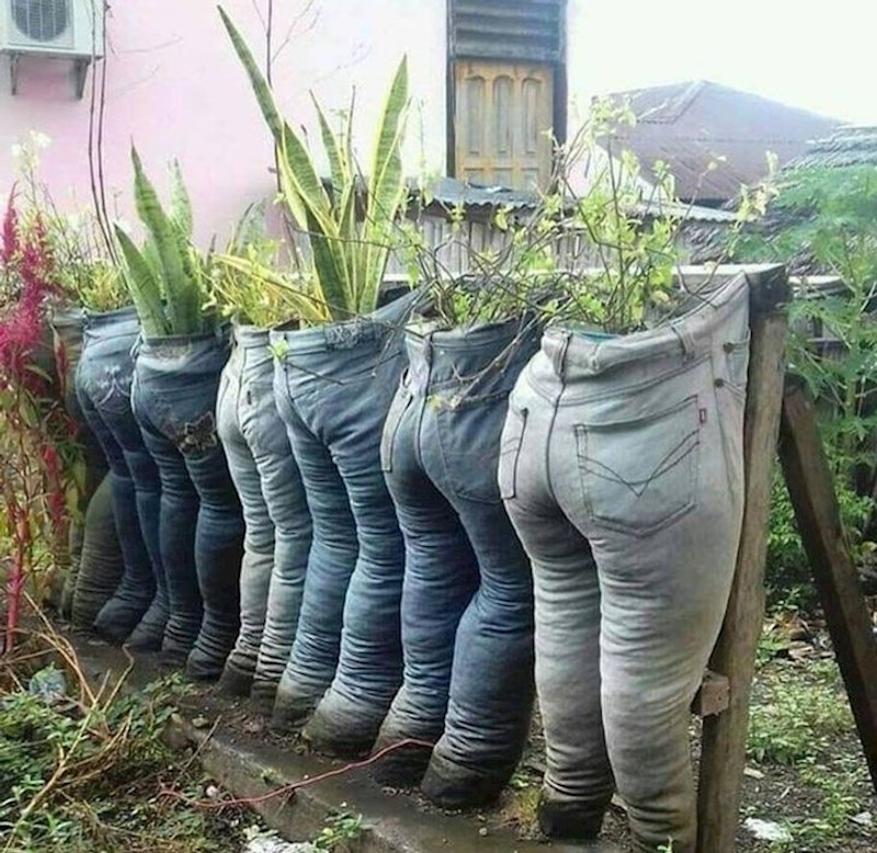 3. I ovo je jedan od mogućih načina kako posaditi biljke!