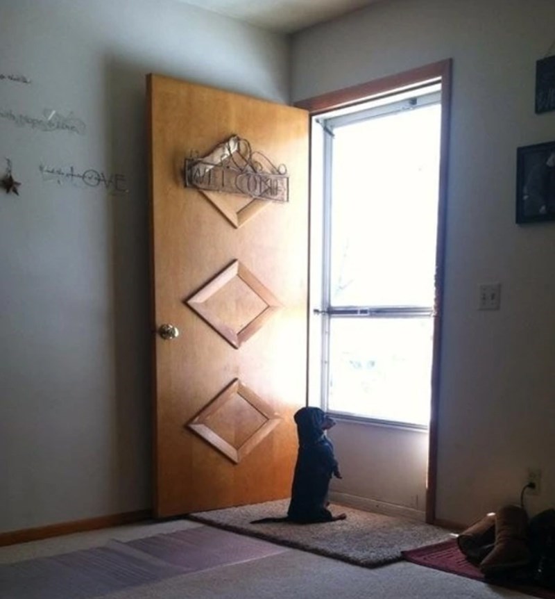 "Dečko je prije nekoliko minuta otišao na posao, a onda je ovo napravio njegov pas:"