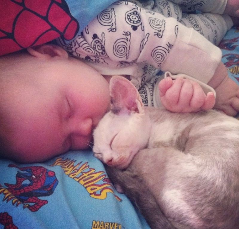 3. "Ne možete ni zamisliti kolika je ovo ljubav."