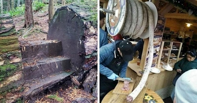 20 fotografija koje dokazuju da je svijet pun zanimljivih stvari koje još nismo vidjeli