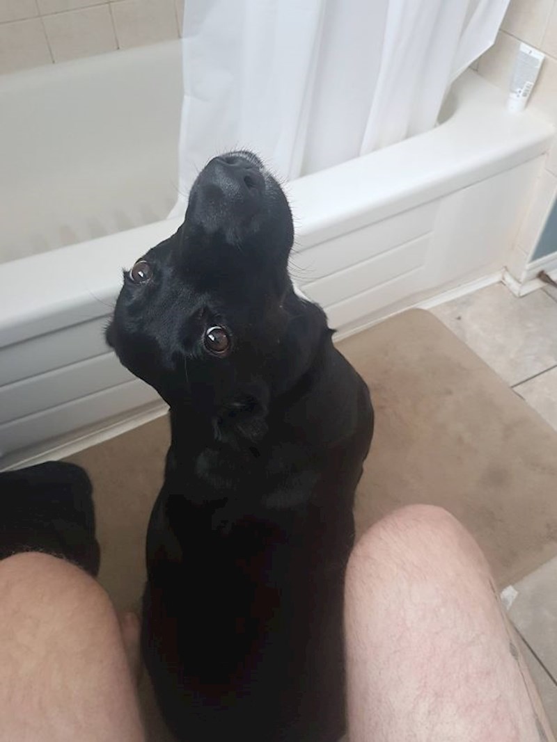 19. Nikad više ne mogu kakati sam