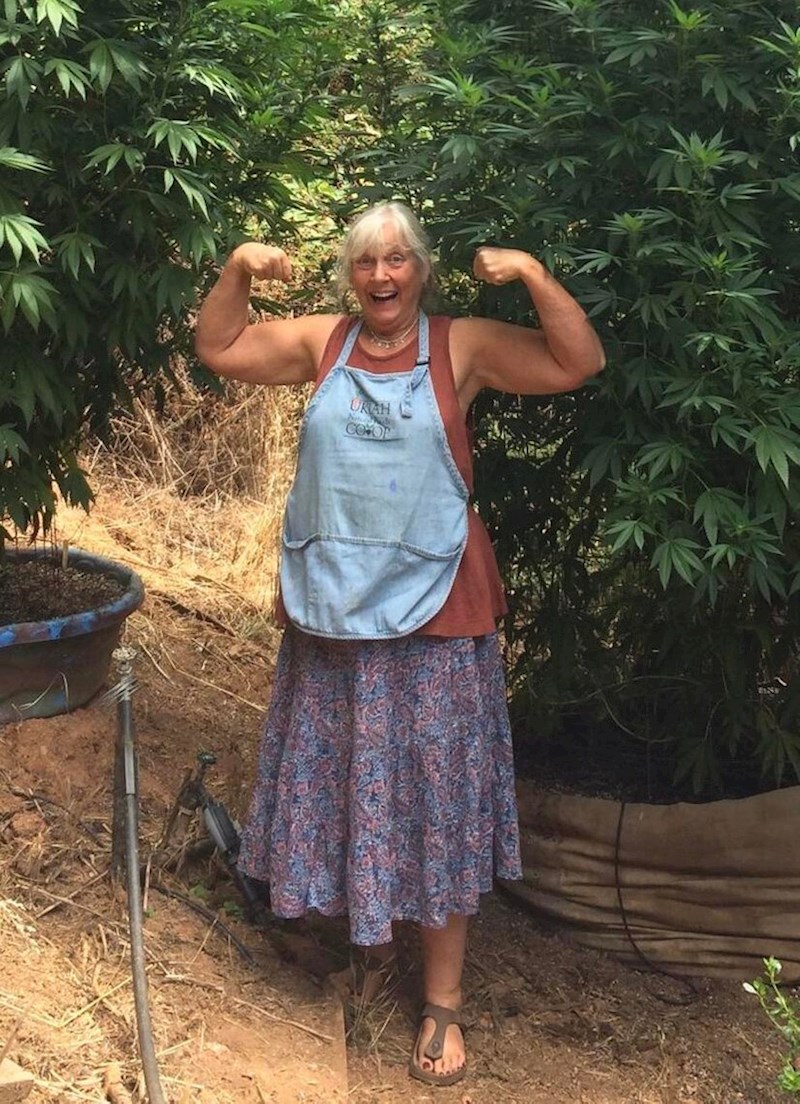 12. Moja baka uzgaja marihuanu