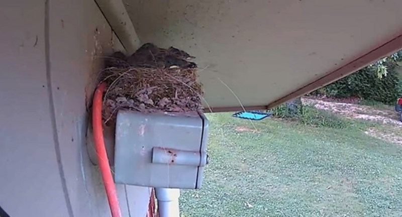 Sledila im se krv u žilama kada su vidjeli što je snimila nadzorna kamera