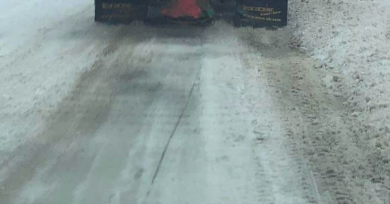 Preko 3 tisuće na Fejsu ljudi lajkalo je fotku ralice iz Bugarske, a sve zbog urnebesnog detalja