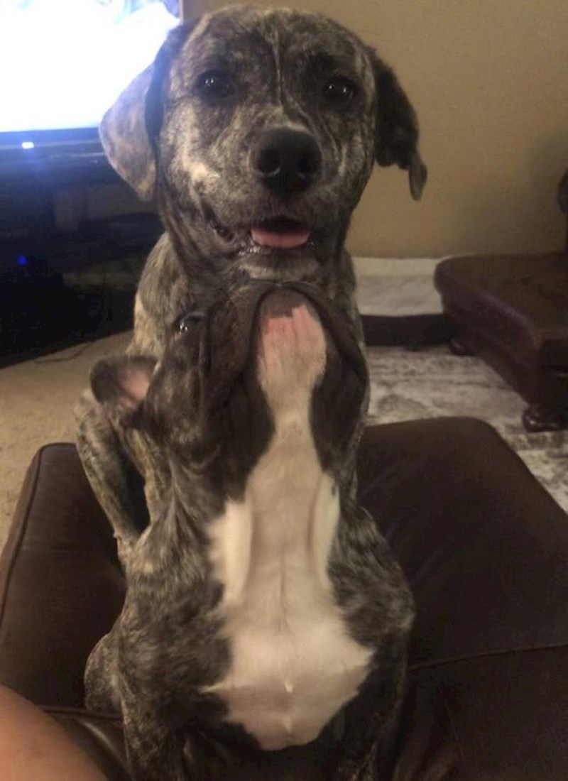 17. Gdje jedan prestaje, a drugi počinje? 🤔