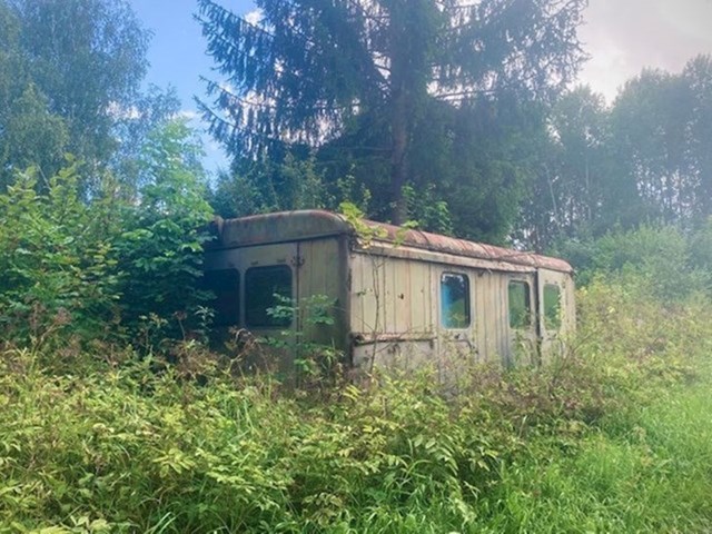 13. Napuštena kamp kućica koju će šuma uskoro progutati