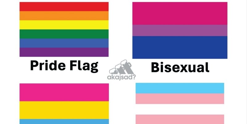 Preko tisuću ljudi na Fejsu lajkalo je foru o LGBT+ zastavama, odmah ćete vidjeti zašto je takav hit